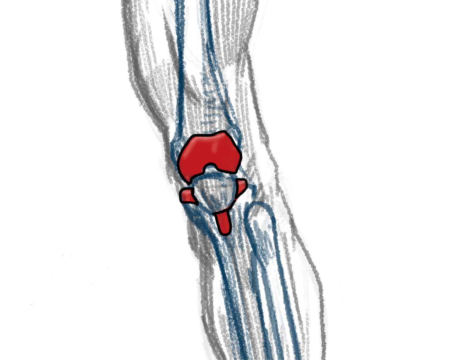 KNEE
