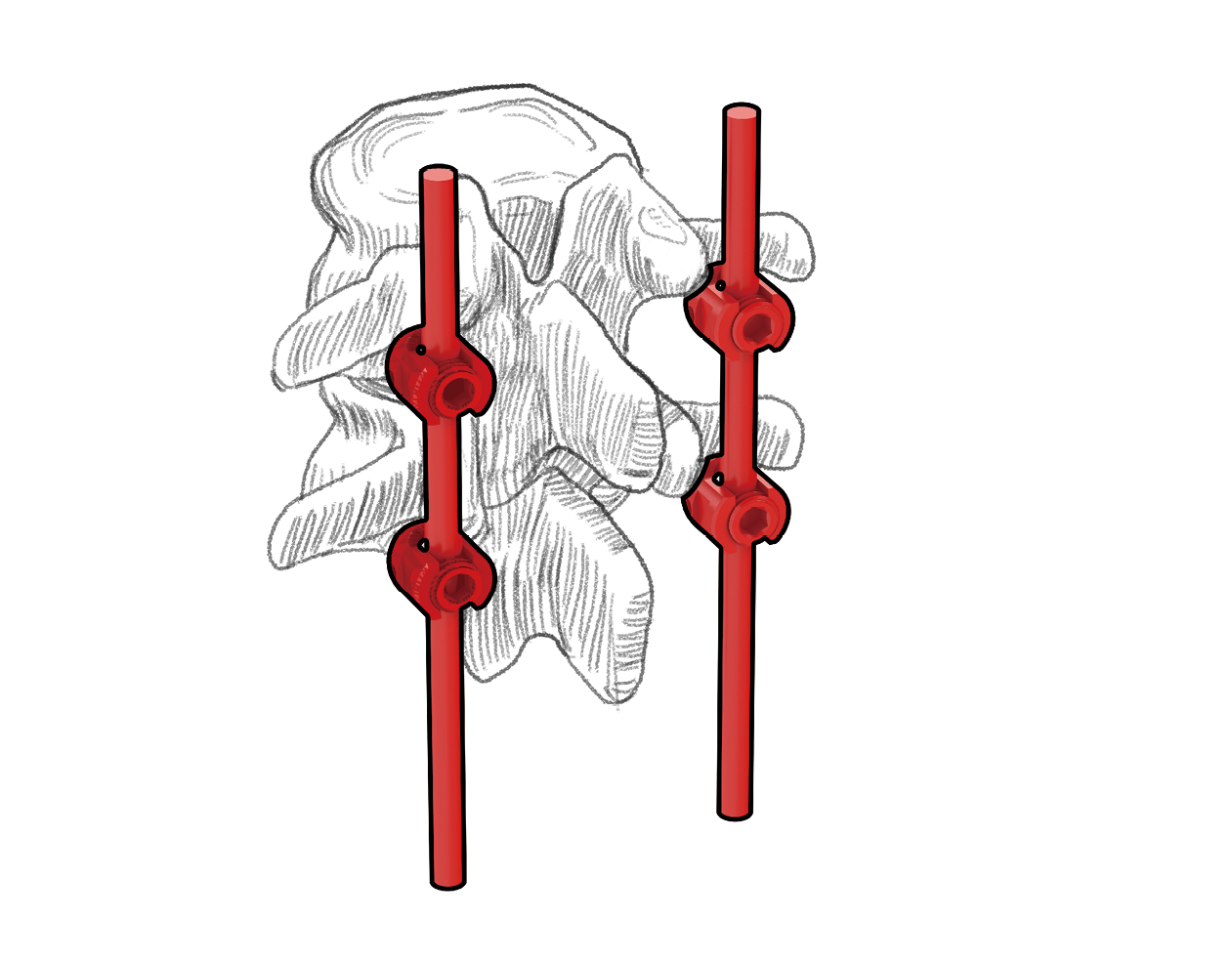 ORTHOPAEDIC